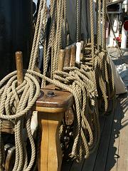 080508_Roald_Amundsen 422